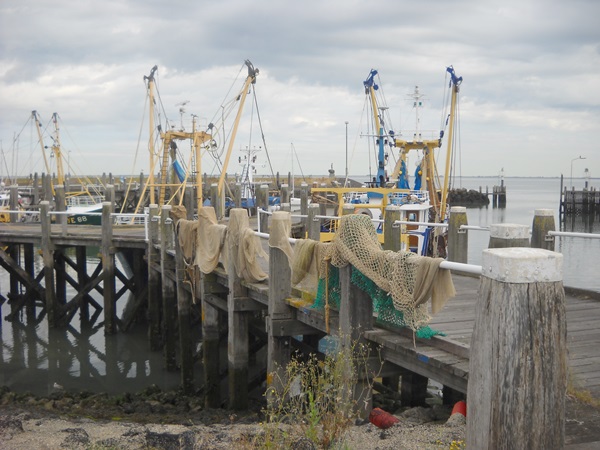 Fishing nets in the harbour of Colijnsplaat