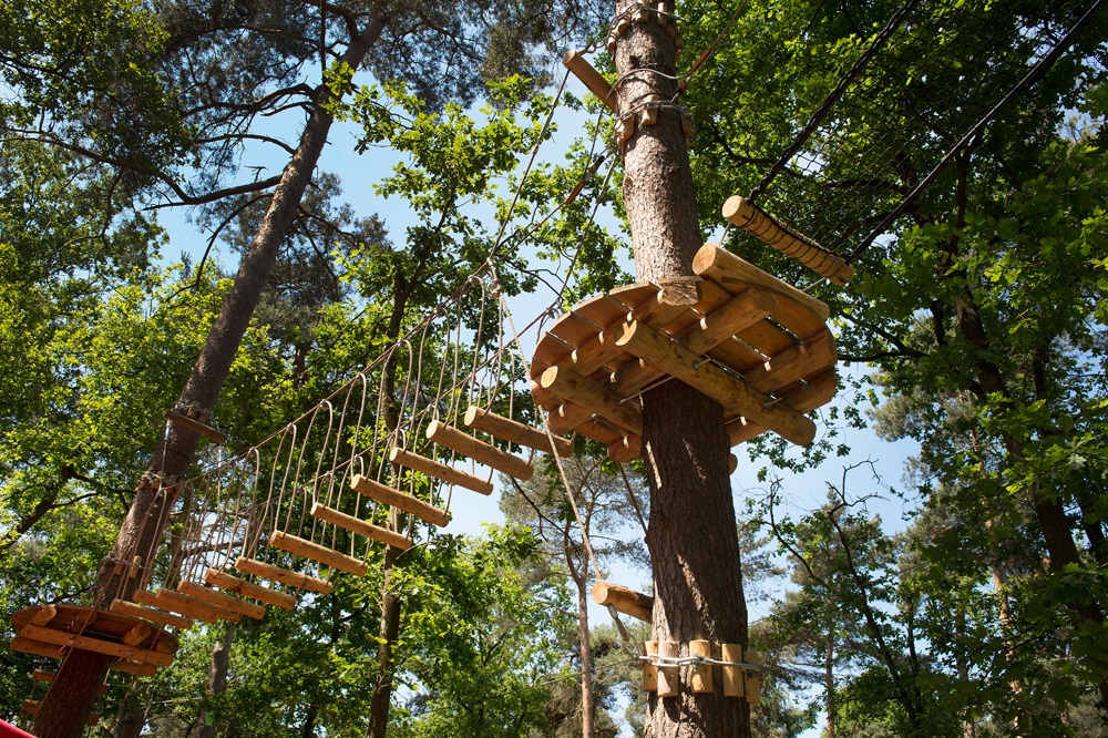 klimbos: hoog tussen de boomtoppen